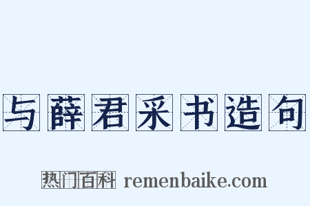 与薛君采书造句是什么意思的图片